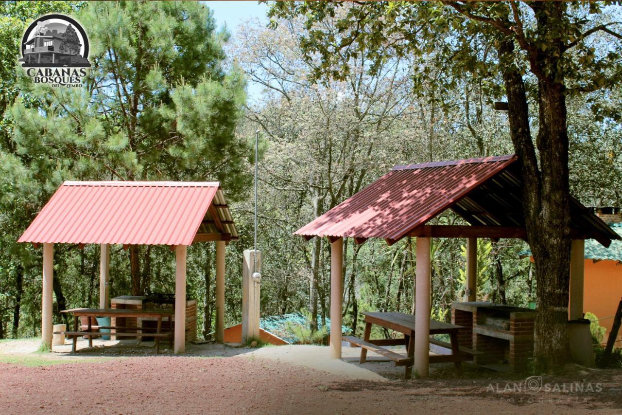 Cabanas Los Bosques Del Zembo Huasca de Ocampo Extérieur photo