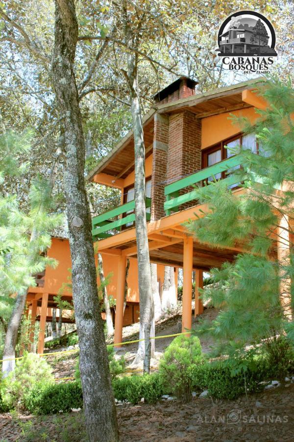 Cabanas Los Bosques Del Zembo Huasca de Ocampo Extérieur photo