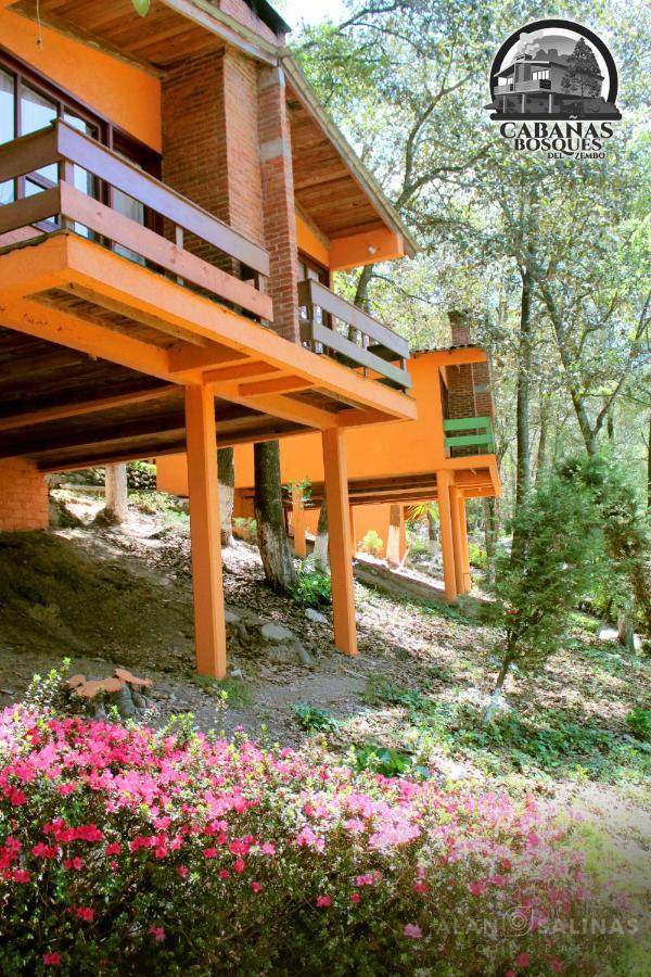 Cabanas Los Bosques Del Zembo Huasca de Ocampo Extérieur photo