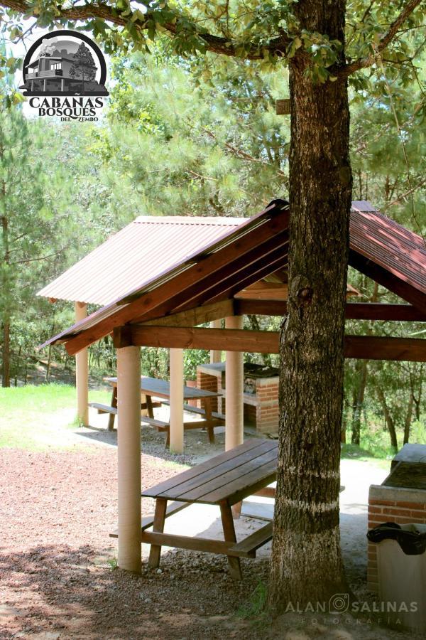 Cabanas Los Bosques Del Zembo Huasca de Ocampo Extérieur photo