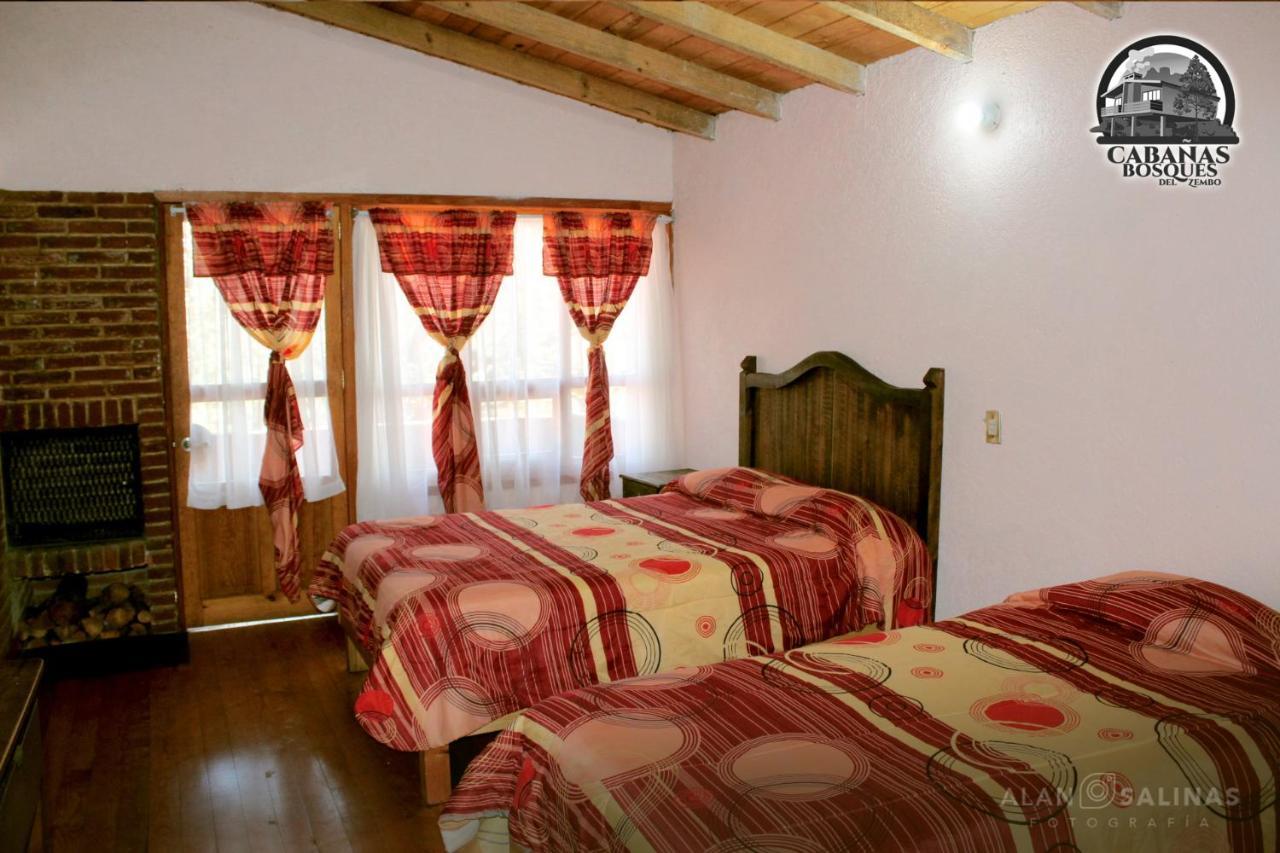 Cabanas Los Bosques Del Zembo Huasca de Ocampo Extérieur photo