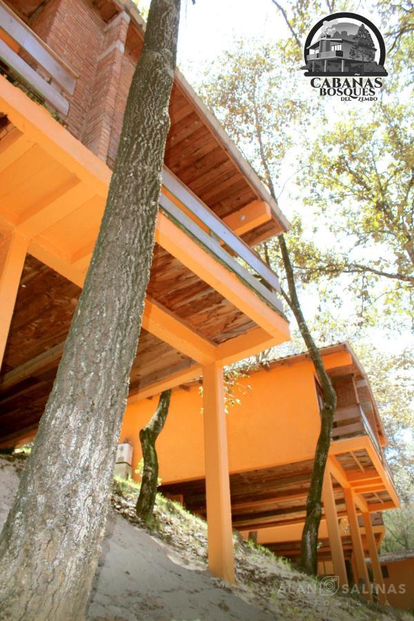 Cabanas Los Bosques Del Zembo Huasca de Ocampo Extérieur photo