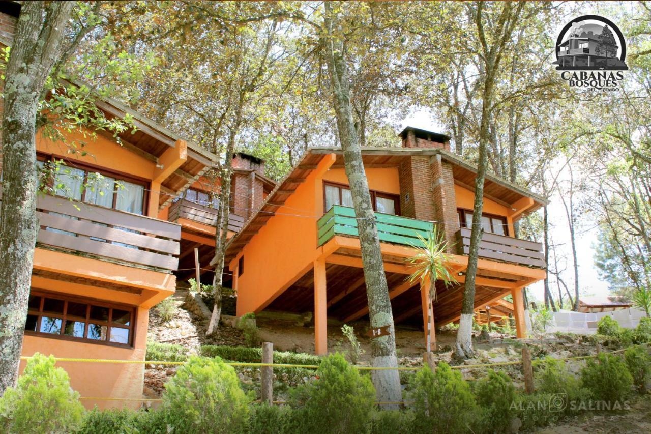 Cabanas Los Bosques Del Zembo Huasca de Ocampo Extérieur photo