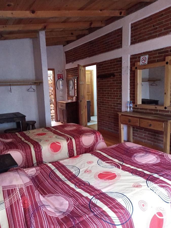 Cabanas Los Bosques Del Zembo Huasca de Ocampo Extérieur photo