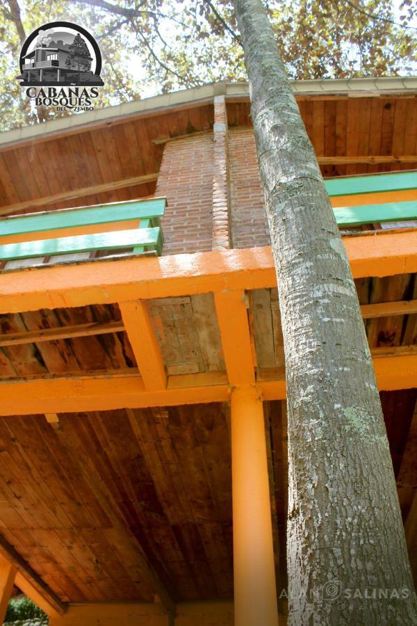 Cabanas Los Bosques Del Zembo Huasca de Ocampo Extérieur photo