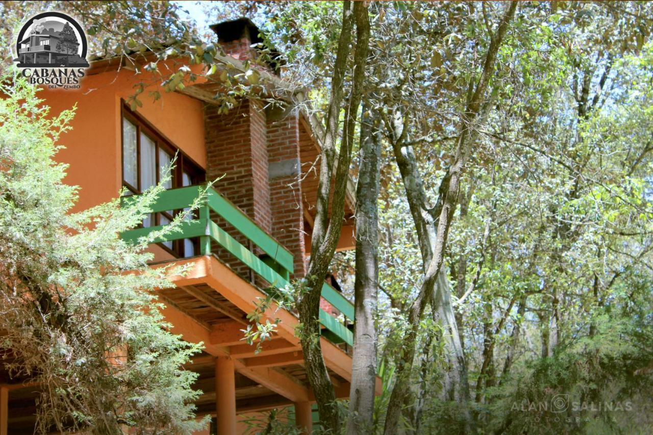 Cabanas Los Bosques Del Zembo Huasca de Ocampo Extérieur photo