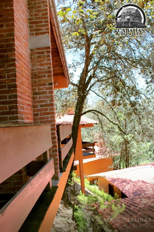 Cabanas Los Bosques Del Zembo Huasca de Ocampo Extérieur photo