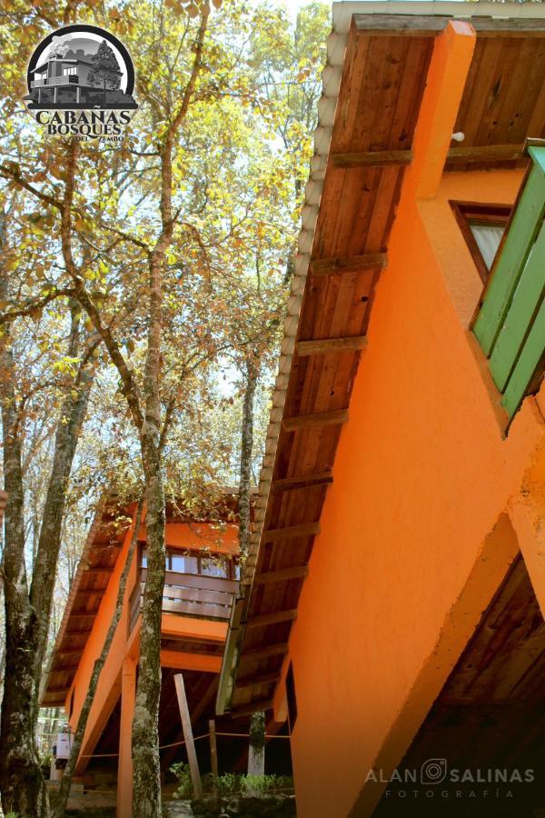 Cabanas Los Bosques Del Zembo Huasca de Ocampo Extérieur photo